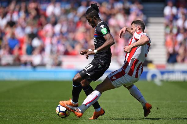 如何继续培 如何继续培